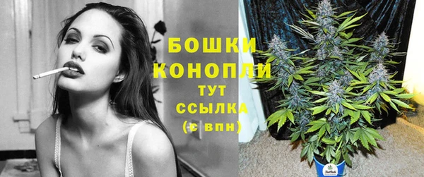 молекула духа Володарск
